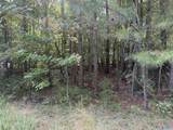 11 acres River Point - Photo 2