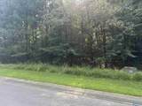 11 acres River Point - Photo 4