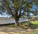 141 Bryant Road - Photo 38