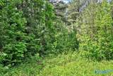Lot 1 East Lacon Road - Photo 6