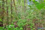 Lot 2 East Lacon Road - Photo 7