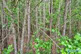 Lot 4 Mill Creek Road - Photo 6