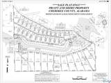 Lot 37 County Road 450 - Photo 2