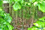 Lot 7 Mill Creek Road - Photo 5