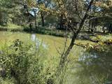 LOT 9 County Road 450 - Photo 2