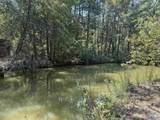 LOT 9 County Road 450 - Photo 3