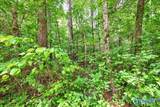 Lot 8 Mill Creek Road - Photo 5