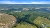 98+/- County Road 209 - Photo 10