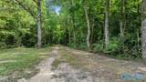 98+/- County Road 209 - Photo 3
