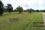 2468 County Road 505 - Photo 16