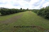 2468 County Road 505 - Photo 23