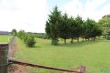 2468 County Road 505 - Photo 30