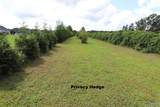 2468 County Road 505 - Photo 31