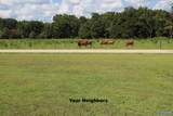 2468 County Road 505 - Photo 32