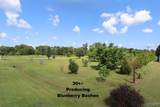 2468 County Road 505 - Photo 5