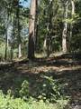 Lot 155 Sgt Holden Lane - Photo 3