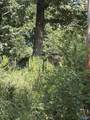Lot 155 Sgt Holden Lane - Photo 7