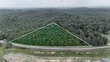 4.8 ACRES County Road 33 - Photo 7