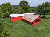 135 Clayton Lane - Photo 44