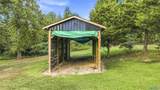 518 County Road 288 - Photo 44