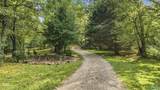 518 County Road 288 - Photo 49