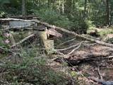 3202 Pleasant Ridge Road - Photo 43