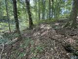3202 Pleasant Ridge Road - Photo 47
