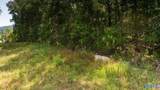 TBD County Rd 42 - Photo 19