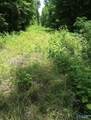15 acres Fish Trap Road - Photo 10