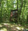 15 acres Fish Trap Road - Photo 8