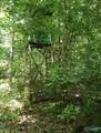 15 acres Fish Trap Road - Photo 9