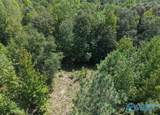 237 Marion Stough Road - Photo 6