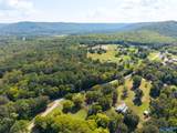 8 ACRES Lower Dry Creek Road - Photo 15