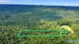 6.5 acres Fish Trap Road - Photo 3