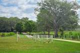 6501 County Road 41 - Photo 3