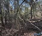 .3 acre lot Hine Street South - Photo 1
