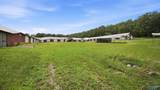 11923 Alabama Highway 117 - Photo 47