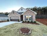 16787 Ted Childs Drive - Photo 1