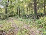 Lot 6 Todd Mill Road - Photo 3