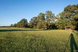 1848 County Road 572 - Photo 29
