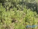 6783 Ivey Way - Photo 2