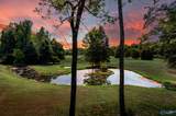 3363 Huntsville Highway - Photo 49