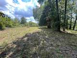 1307 Bellevue Drive - Photo 4