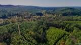 33 County Road 101 - Photo 1