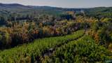 33 County Road 101 - Photo 10