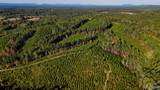 33 County Road 101 - Photo 3