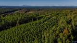 33 County Road 101 - Photo 9
