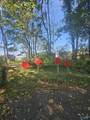 18.31 acres Hollow Road - Photo 14