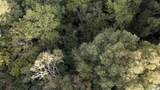 1 Acre Highway 31 - Photo 7