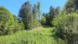 4049 Bethsaida Road - Photo 3